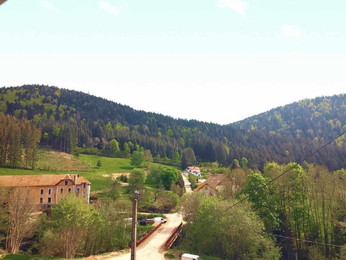 ⁂⁂ Le Grand Duc Appartement Cledicihome / Magnifique Vue Sur Les Montagnes / 4 Kms De Gerardmer ! ⁂⁂ Rochesson Esterno foto