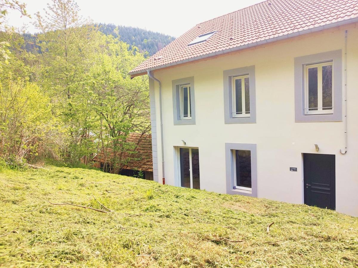 ⁂⁂ Le Grand Duc Appartement Cledicihome / Magnifique Vue Sur Les Montagnes / 4 Kms De Gerardmer ! ⁂⁂ Rochesson Esterno foto